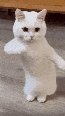 Test post